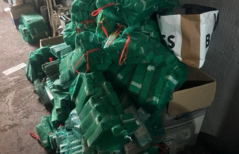 PMDF apreende grande quantidade de drogas após abordagem em Ceilândia