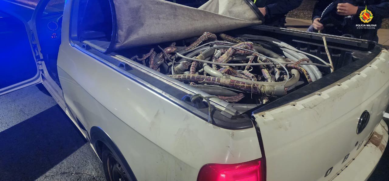 PMDF prende dupla suspeita de furtar cabos de energia em estação telefônica na Octogonal