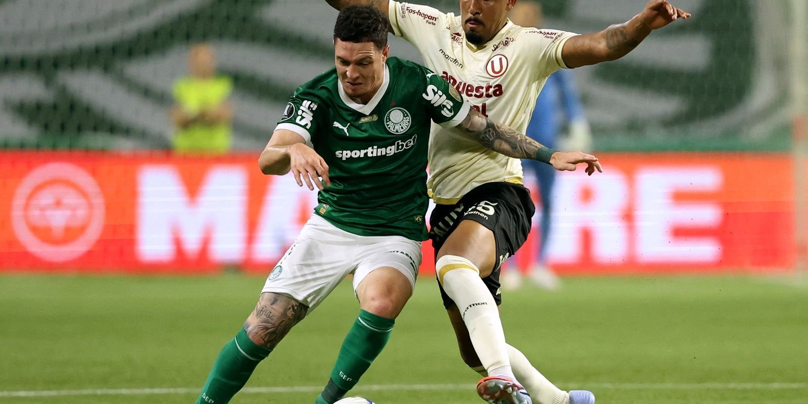Palmeiras segura empate e segue para quartas da Libertadores Palmeiras segura empate e segue para quartas da Libertadores