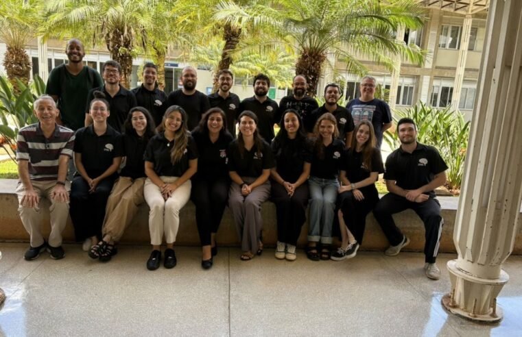 Pesquisa brasiliense transforma substância de vespa em possível aliada contra o Alzheimer