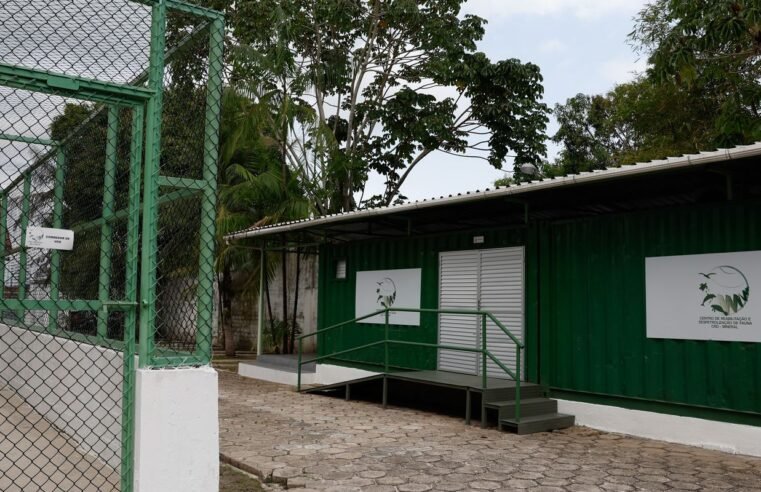 Petrobras testa capacidade de resposta a incidentes na Foz do Amazonas