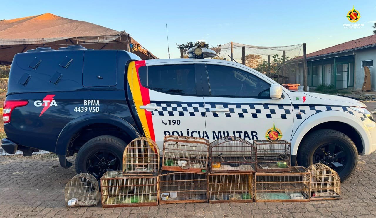 Polícia apreende aves silvestres mantidas ilegalmente em cativeiro no Sol Nascente Polícia apreende aves silvestres mantidas ilegalmente em cativeiro no Sol Nascente