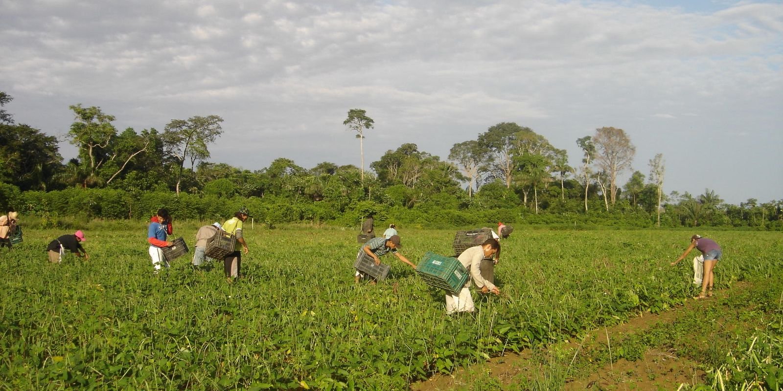 Programa AgroAmigo oferece R$ 1 bilhão em microcrédito Programa AgroAmigo oferece R$ 1 bilhão em microcrédito