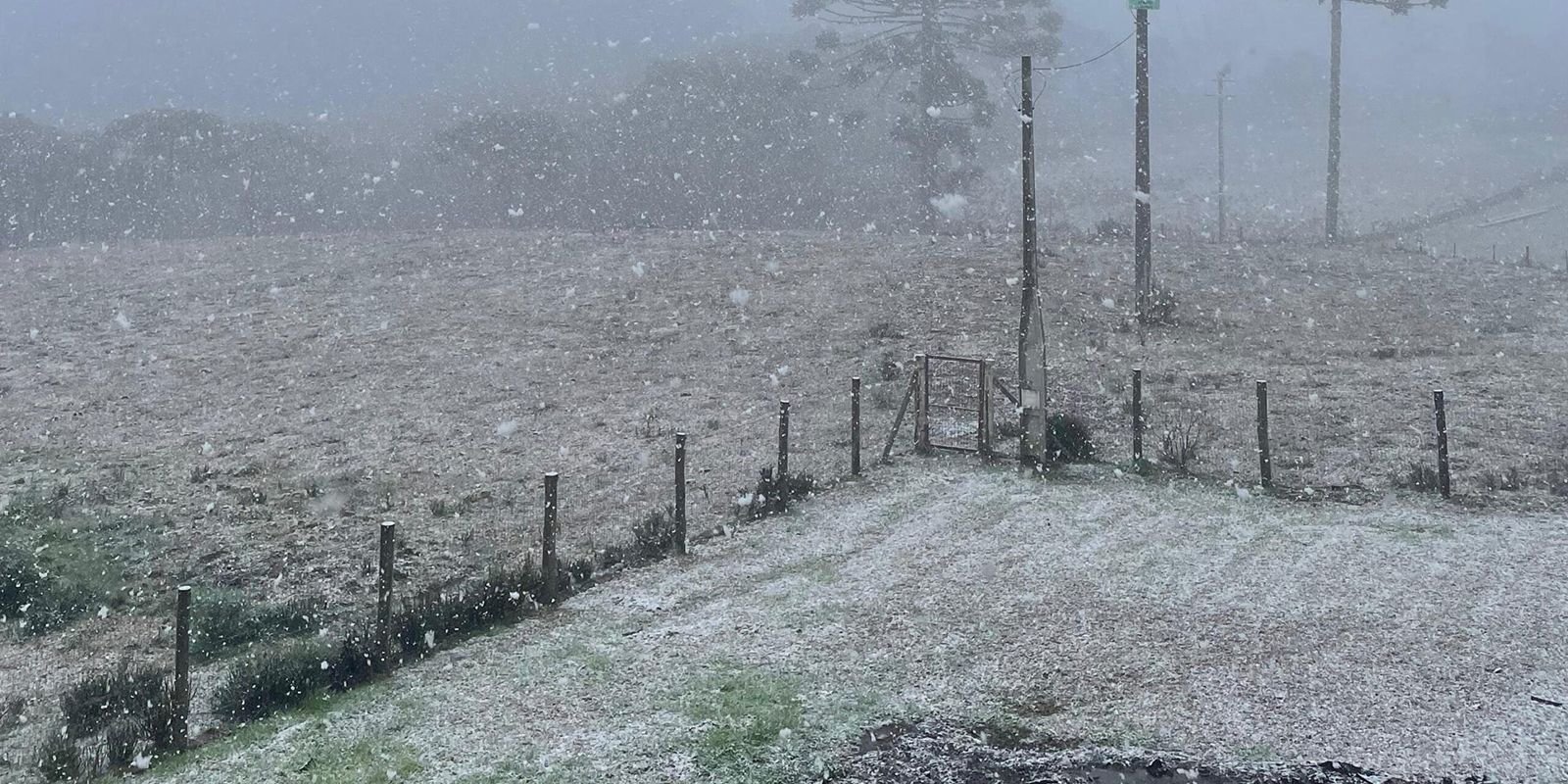 Rio Grande do Sul registra neve em algumas localidades Rio Grande do Sul registra neve em algumas localidades