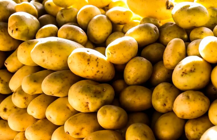 Batata, ovos e verduras reduzem pressão inflacionária em agosto em SP