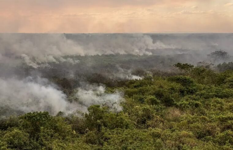 CBMDF registra 31 ocorrências de incêndio em vegetação no DF em um único dia