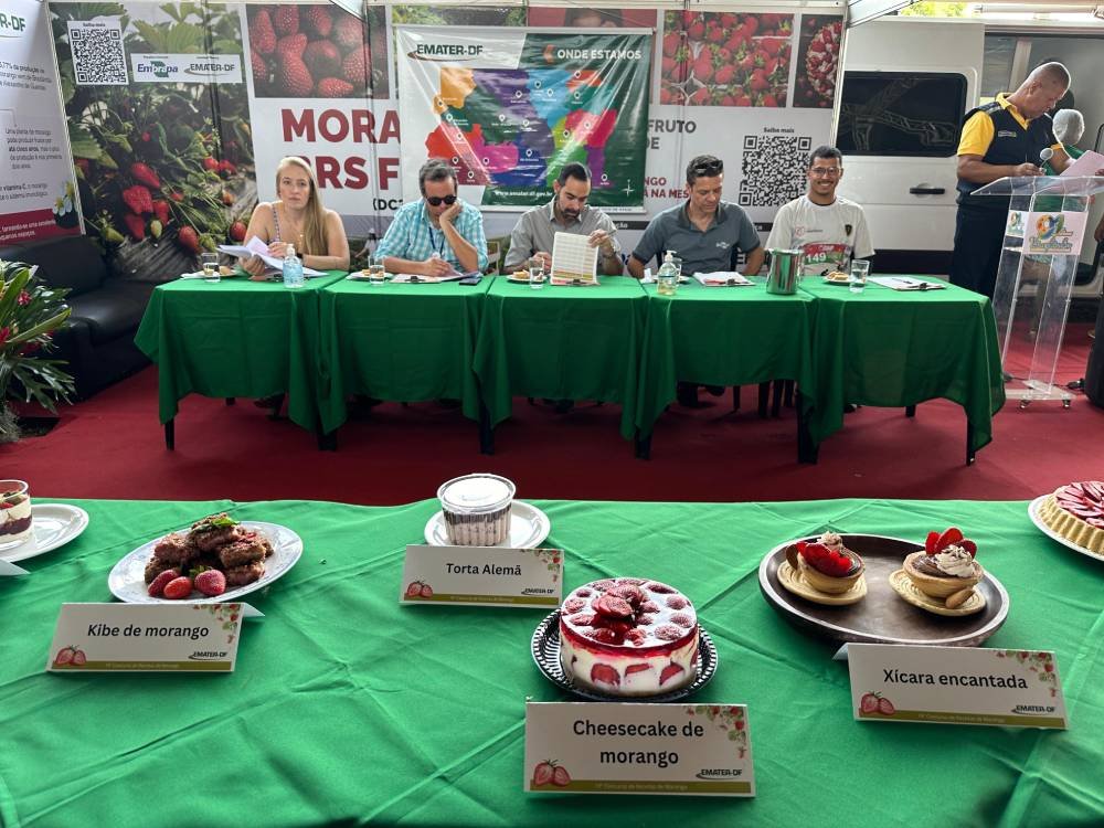 Concurso de receitas com morango chega à 20ª edição Concurso de receitas com morango chega à 20ª edição