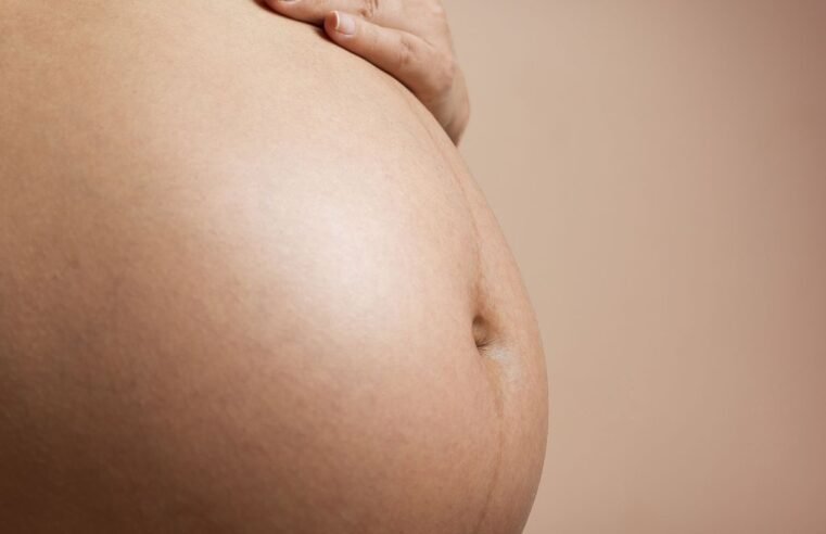 Estudo busca eliminar transmissão vertical de vírus que causa leucemia