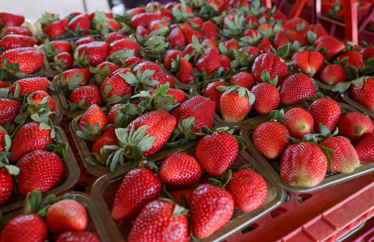 Expectativa alta para a 29ª Festa do Morango de Brasília