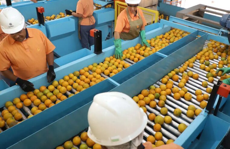 Exportação de produtos atingidos por tarifaço cai 22% em agosto