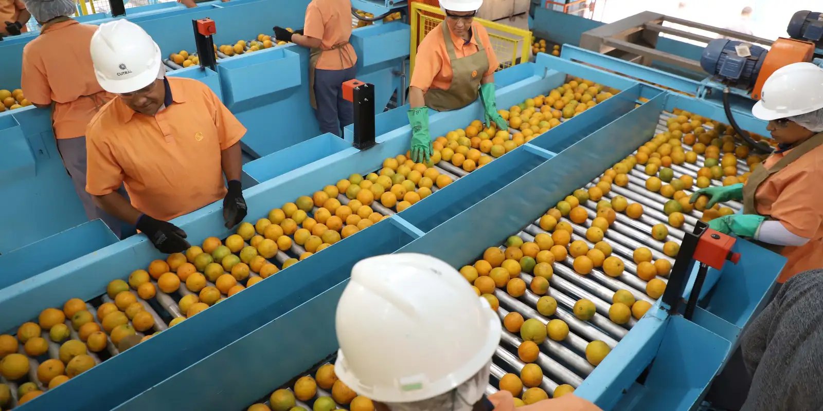 Exportação de produtos atingidos por tarifaço cai 22% em agosto