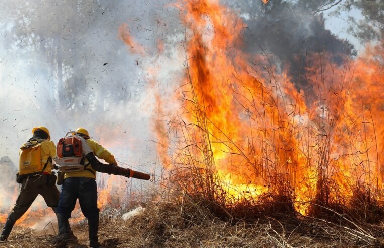 Fim de semana tem quase 100 ocorrências de incêndio em vegetação no DF