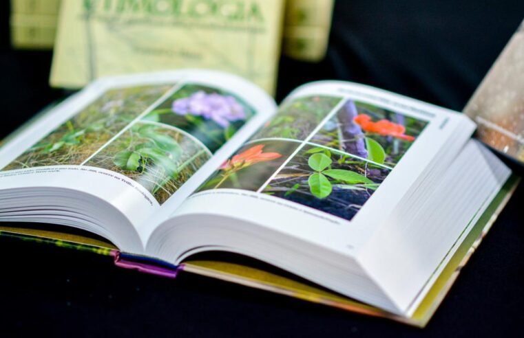 Guia sobre a vegetação do Cerrado no Jardim Botânico de Brasília é lançado