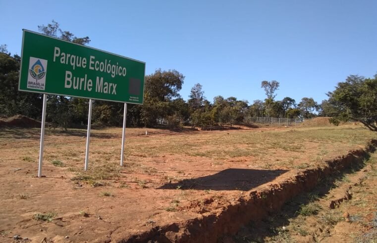 Homem é condenado por incêndio que destruiu mais de 11 hectares no Parque Burle Marx