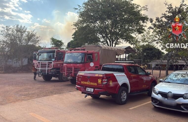 Incêndio atinge 220 hectares na Floresta Nacional de Brasília e mobiliza forças de combate
