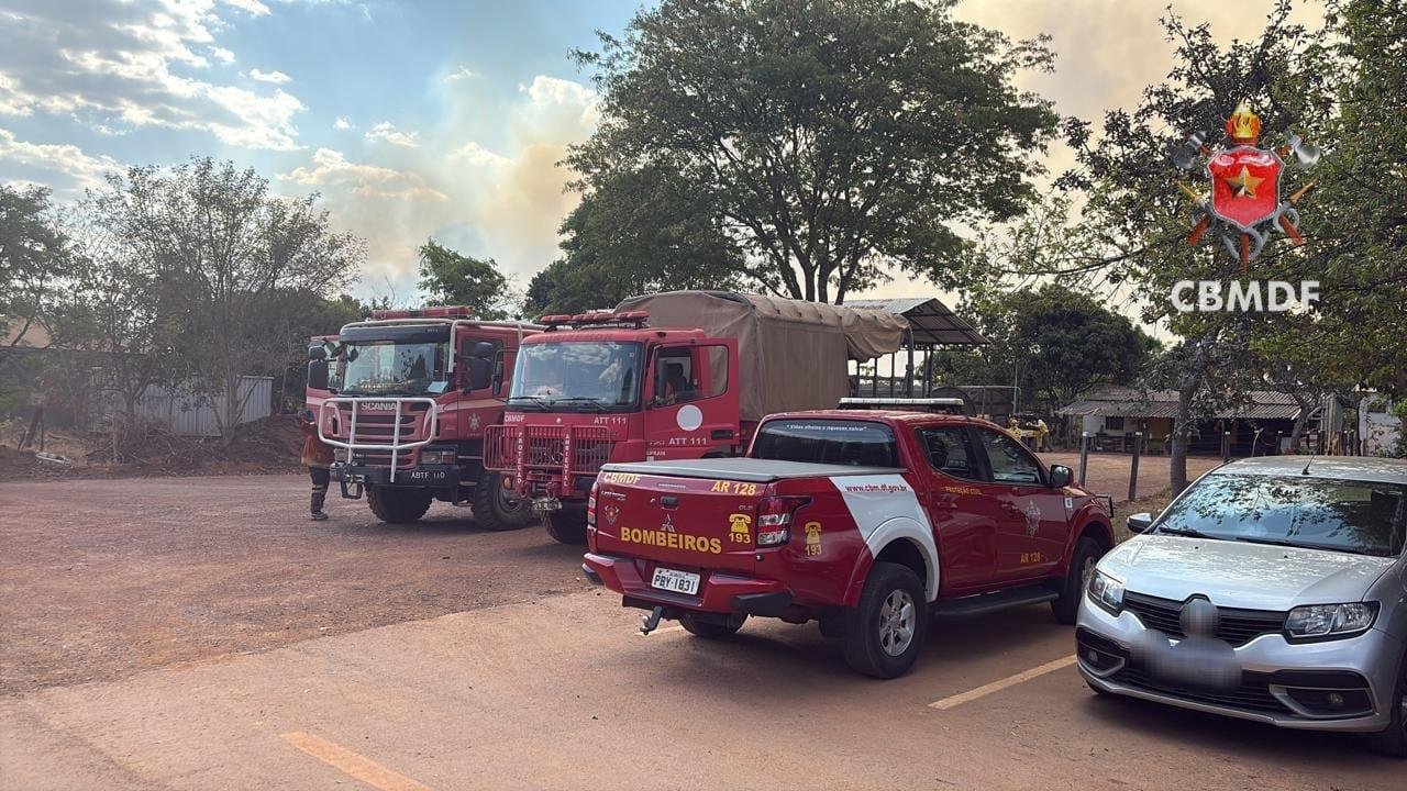 Incêndio atinge 220 hectares na Floresta Nacional de Brasília e mobiliza forças de combate Incêndio atinge 220 hectares na Floresta Nacional de Brasília e mobiliza forças de combate