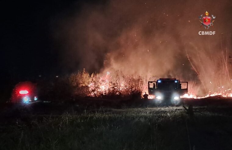 Incêndio atinge 35 hectares de vegetação no Lago Norte