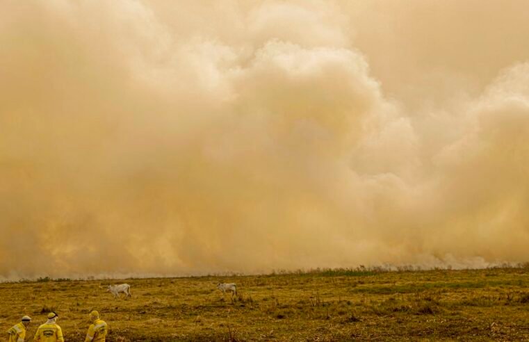 Inmet alerta para grande perigo por baixa umidade em 5 estados e no DF
