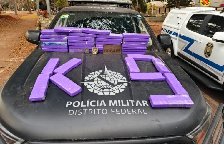 PMDF apreende 37 tabletes de maconha na Rodoviária Interestadual