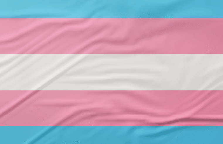 Pesquisa recomenda ações de prevenção ao HPV focadas em pessoas trans