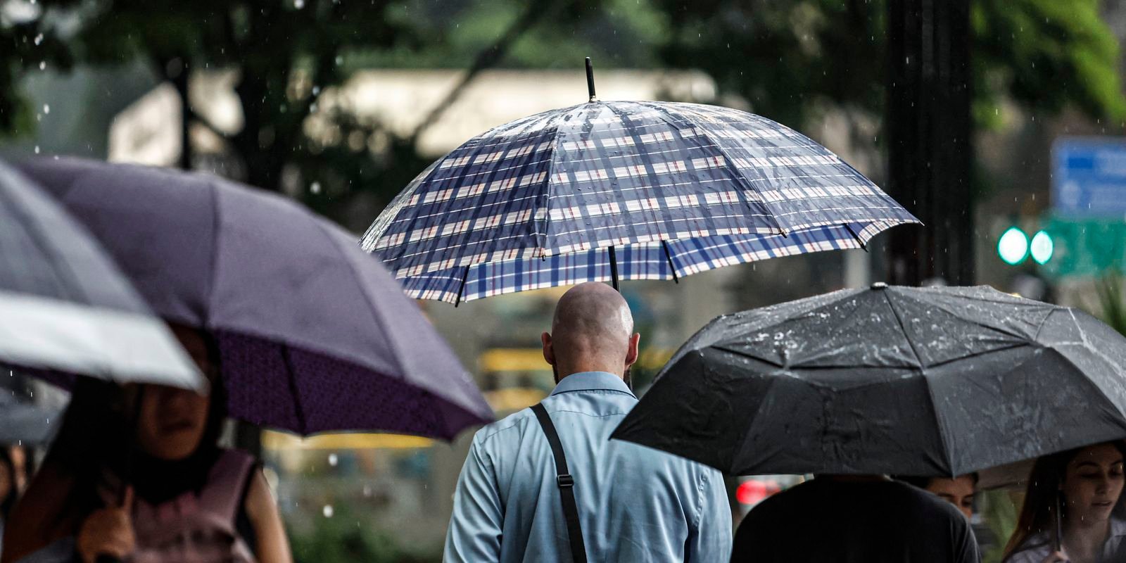 SP: Chuva, ventos fortes e queda de árvores deixam 900 mil sem energia SP: Chuva, ventos fortes e queda de árvores deixam 900 mil sem energia