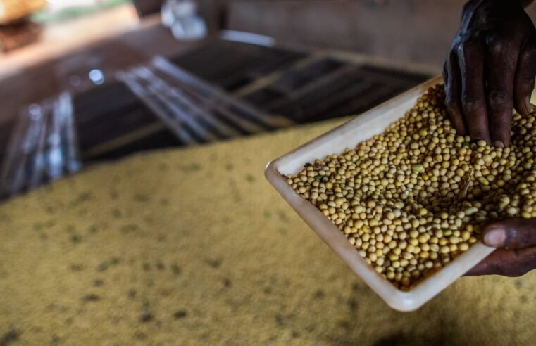 Sorriso, no MT, tem maior PIB agrícola do país; veja o ranking