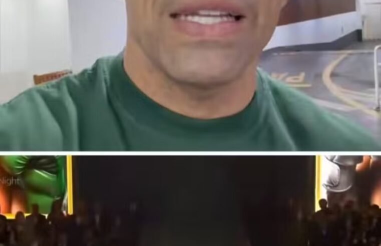 Werdum critica equipe de Popó por briga e diz que Wanderlei quebrou o nariz