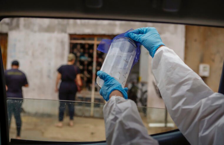 Wolbitos são soltos no Distrito Federal para ajudar no combate à dengue