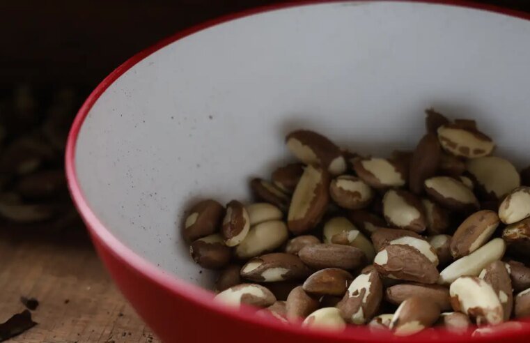 Agricultura familiar do Nordeste vai à maior feira mundial alimentos