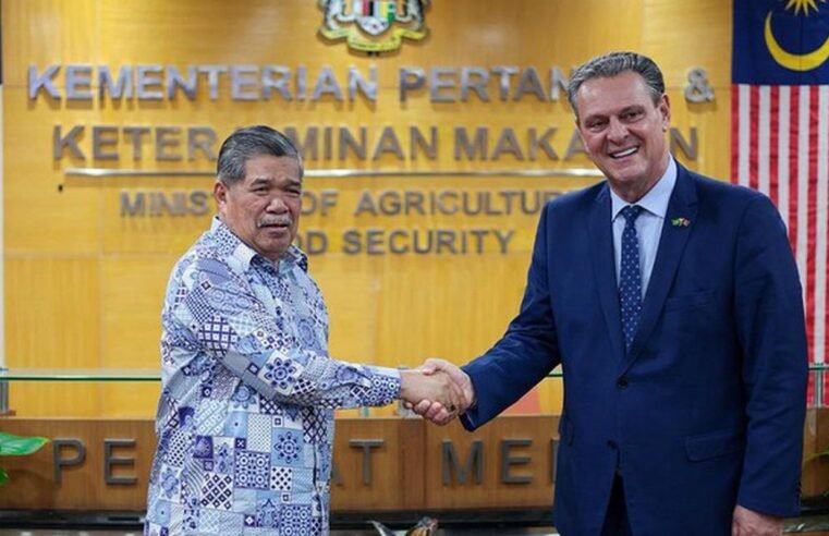 Brasil retoma exportações de carne de frango para a Malásia