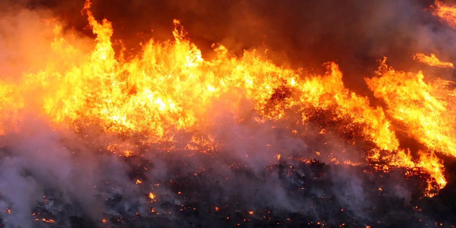 Brigadistas combatem incêndio em Cavalcante, Goiás Brigadistas combatem incêndio em Cavalcante, Goiás