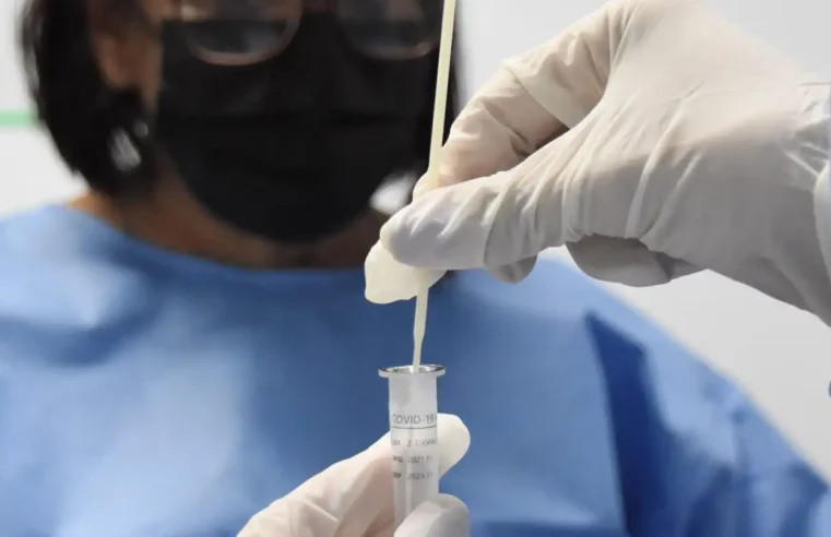 Covid-19 causou metade das mortes por vírus respiratórios em 4 semanas