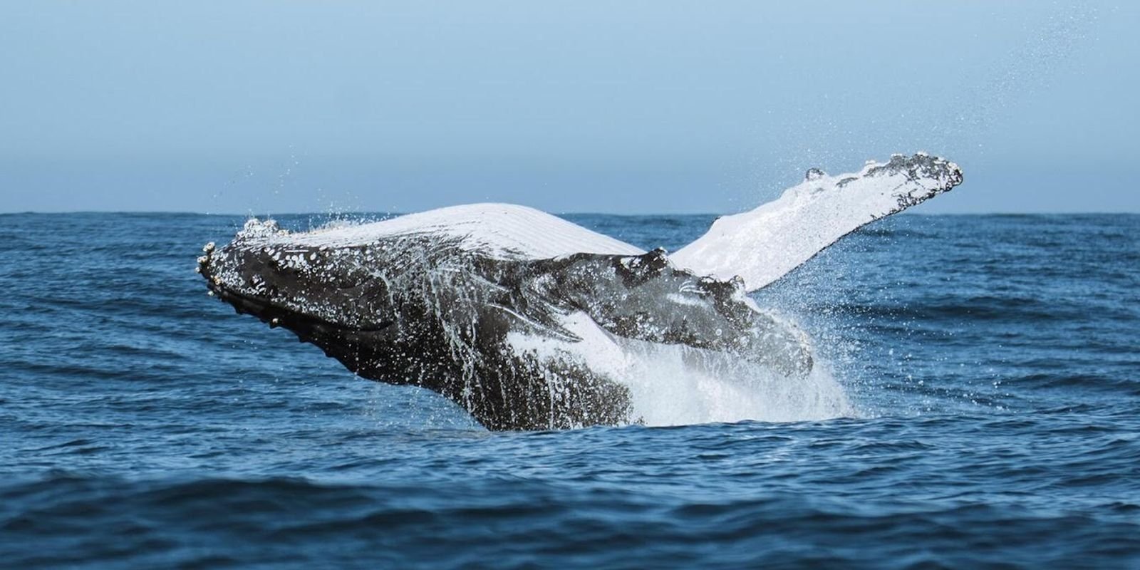 Festival une ciência, tecnologia e meio ambiente no audiovisual