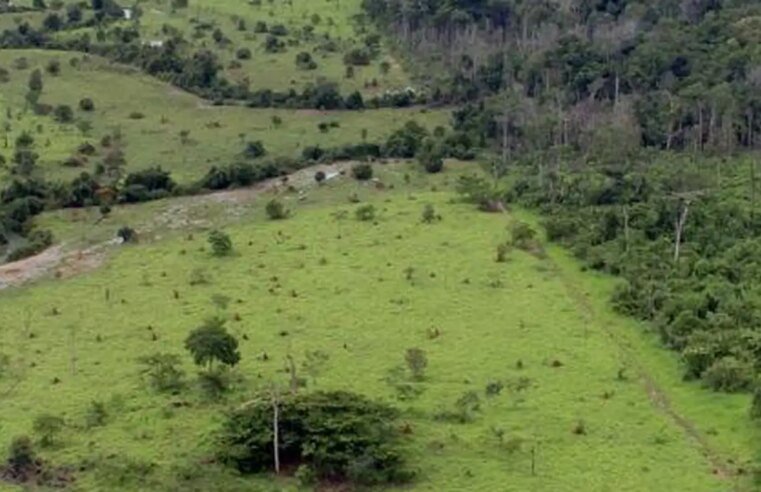 Governo prorroga prazo para georreferenciamento de imóveis rurais