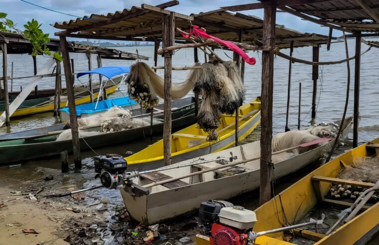 Início do defeso da piracema restringe pesca comercial no país
