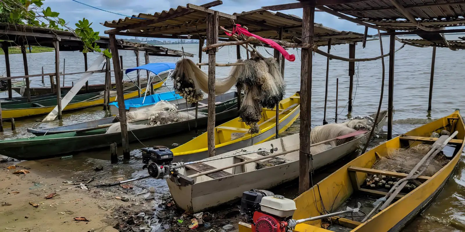 Início do defeso da piracema restringe pesca comercial no país Início do defeso da piracema restringe pesca comercial no país