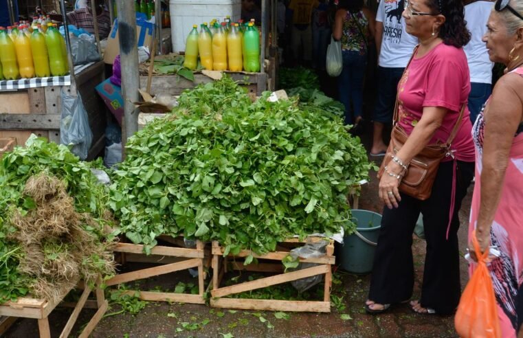Mercado do Povo levará mercados modulares a pequenas cidades