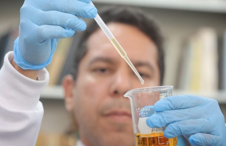 Metanol: crise completa um mês com alerta para falsificação de bebidas Metanol: crise completa um mês com alerta para falsificação de bebidas