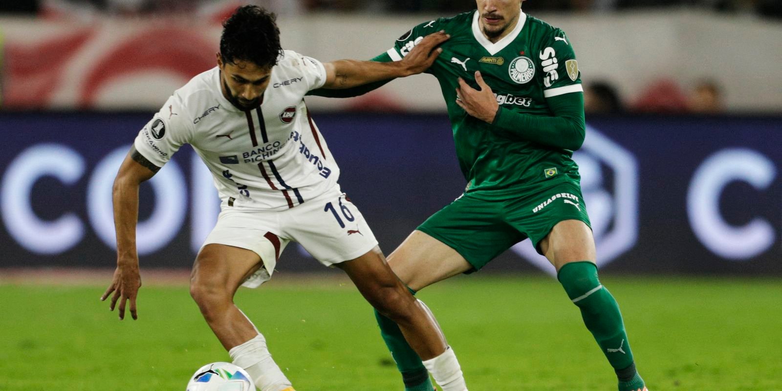 Palmeiras joga futuro na Libertadores diante da LDU Palmeiras joga futuro na Libertadores diante da LDU