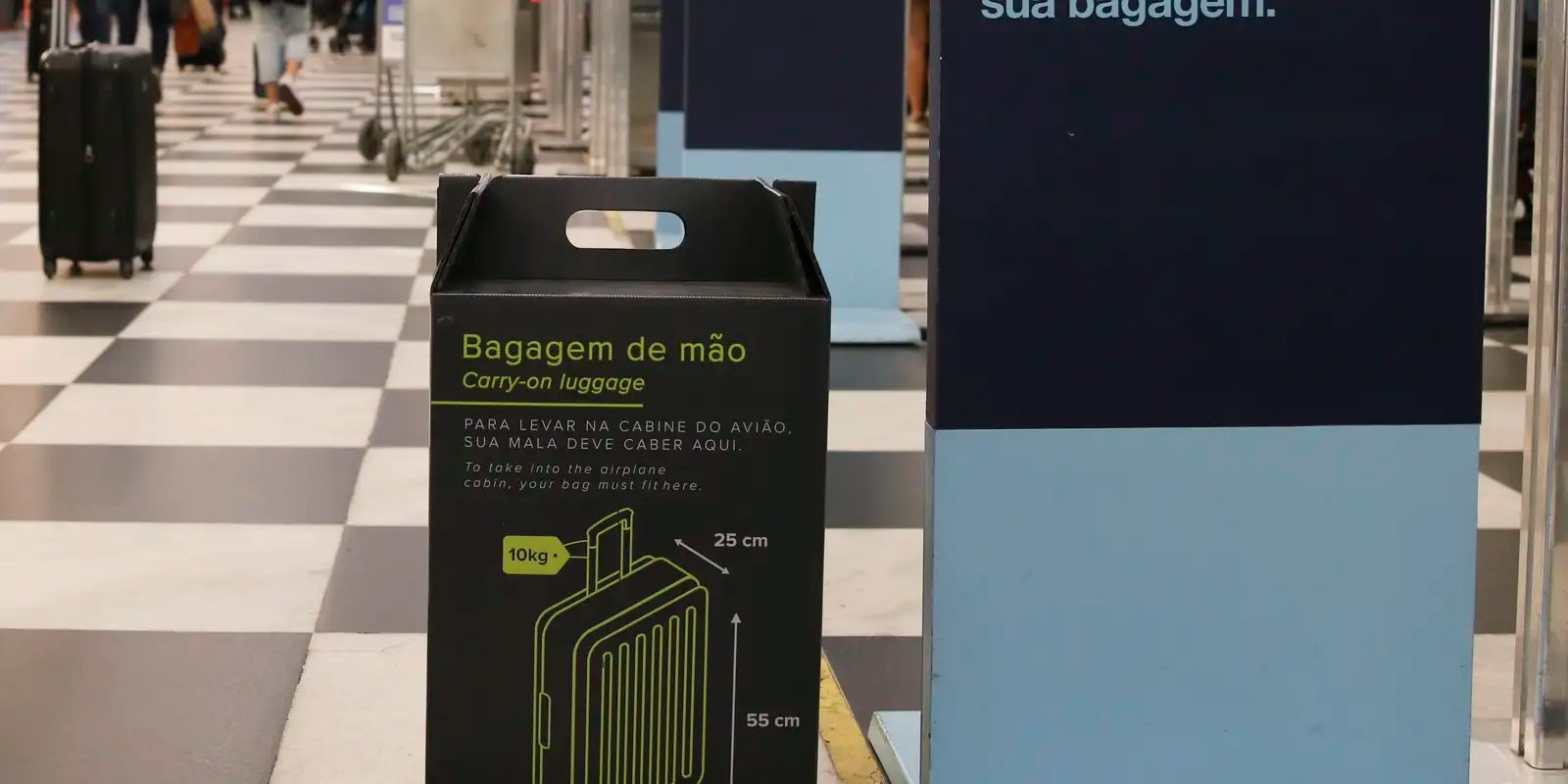 Senado aprova gratuidade para bagagem de mão em vôos  Senado aprova gratuidade para bagagem de mão em vôos