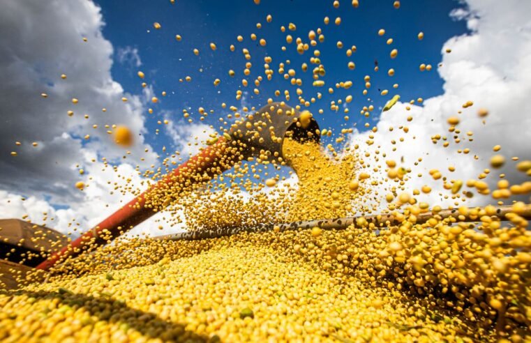 Brasil estima colheita de 354,8 milhões de toneladas de grãos