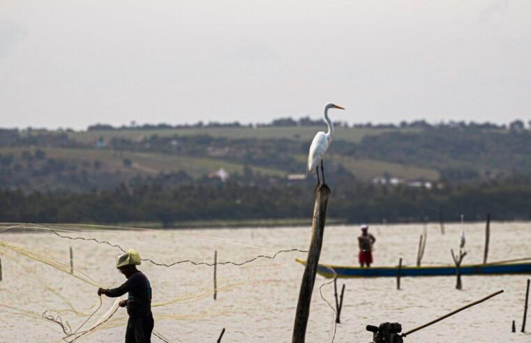 Gestão do seguro-defeso passa oficialmente ao Ministério do Trabalho