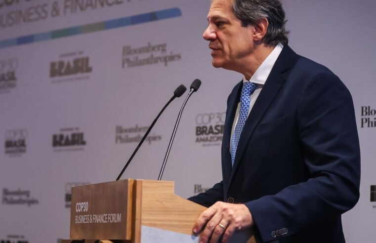 Haddad diz esperar US$ 10 bi para fundo de proteção às florestas