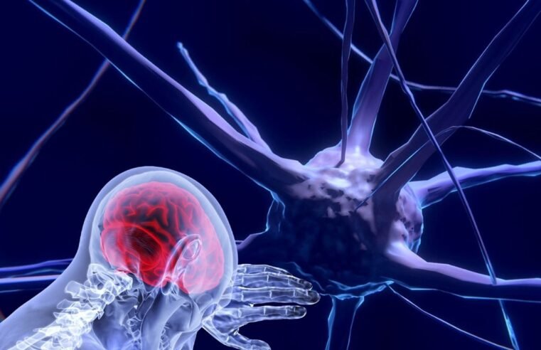 Unesco faz recomendação inédita para uso ético da neurotecnologia