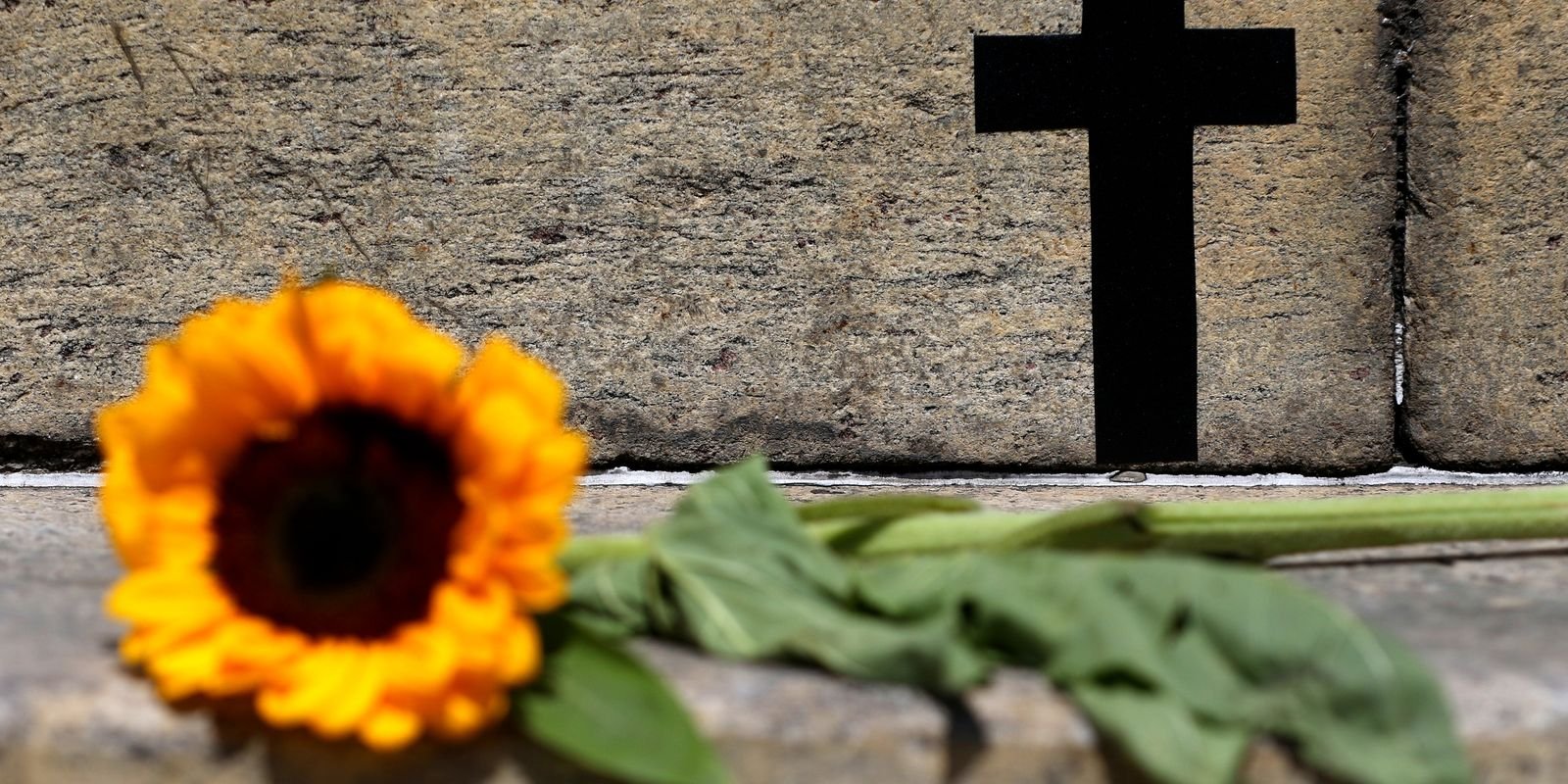 2025 já é o ano com maior número de feminicídios na capital paulista