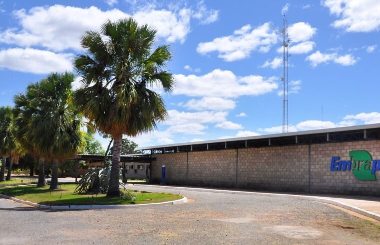 Aplicativo gratuito da Embrapa ajuda a planejar barragens no semiárido