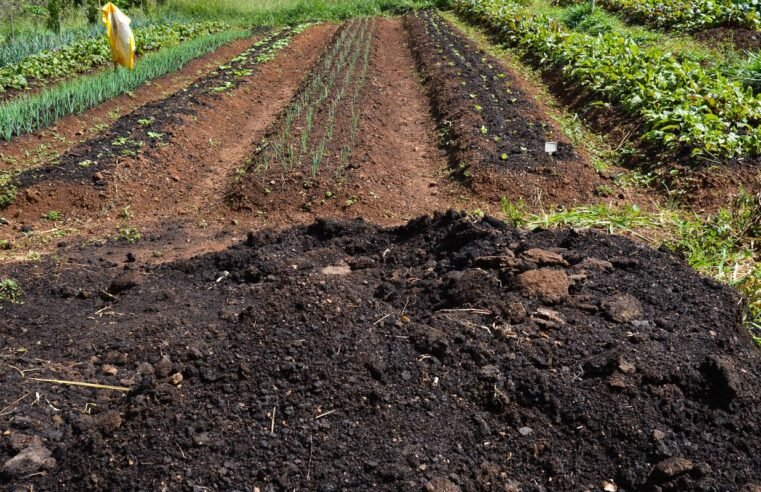 CMN amplia socorro a produtores afetados pelo clima