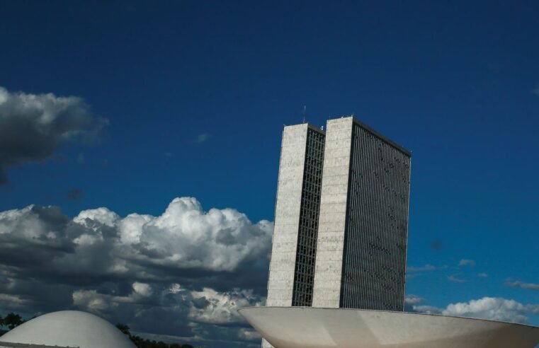 Câmara tem baixa atuação em pautas de igualdade racial, diz pesquisa