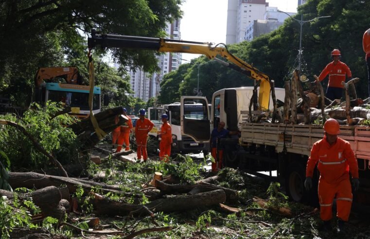 Dois dias após ciclone, SP ainda tem 800 mil moradores sem energia