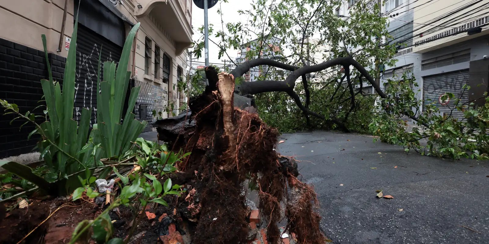 Em Embu-Guaçu, em SP, apagão deixa 61% dos moradores sem luz